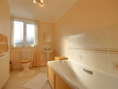 Picture 21
